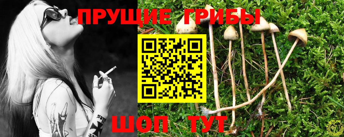 Галлюциногенные грибы Magic Shrooms Ханты-Мансийск