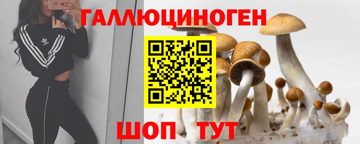 Галлюциногенные грибы Psilocybine cubensis  Галлюциногенные грибы GOLDEN TEACHER  Вход с VPN  Ханты-Мансийск 
